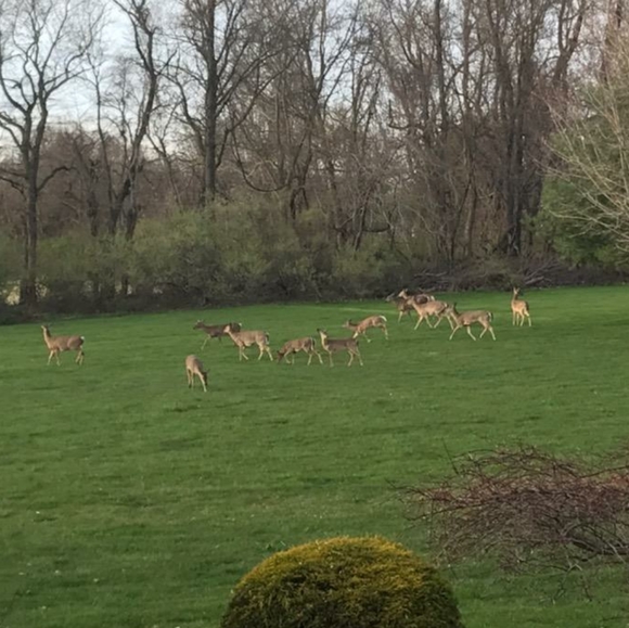 About Me: Leslie Monahan - Perennial Purpose - Picture 8 of 8